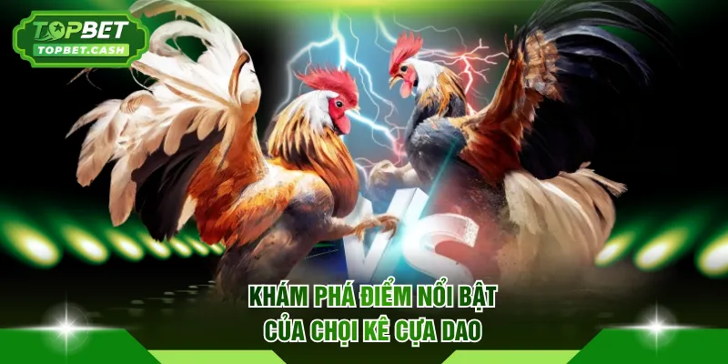 Khám phá điểm nổi bật của chọi kê cựa dao